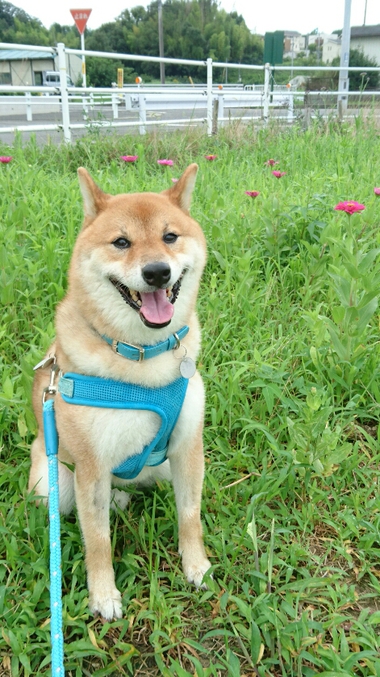 涙が出ちゃった