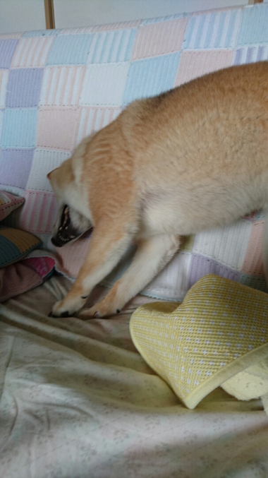 おぼん