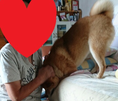 おぼん