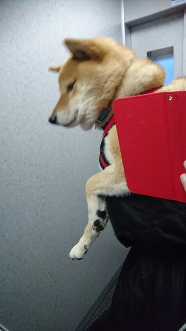 暗闇警備隊3日目