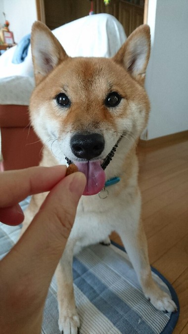 甘えん坊＆怒りん坊大賞