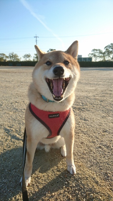 くるっ！きっとくるぅ～♪