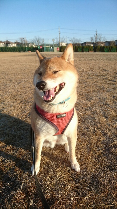 くるっ！きっとくるぅ～♪