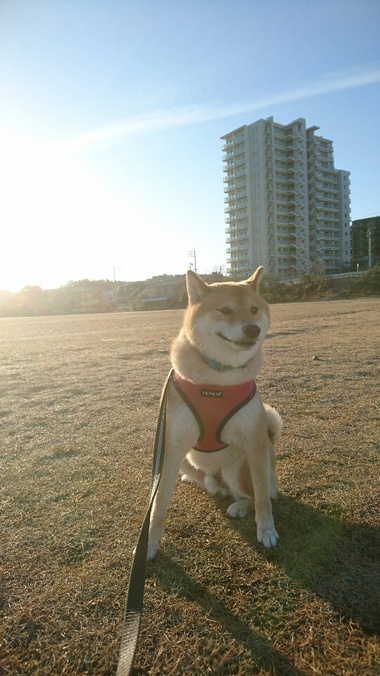 くるっ！きっとくるぅ～♪