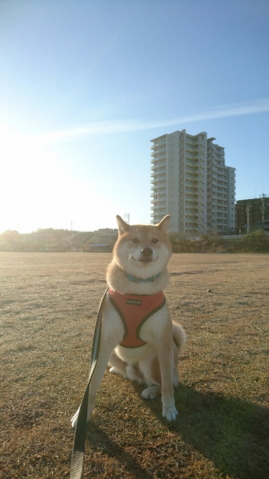 くるっ！きっとくるぅ～♪
