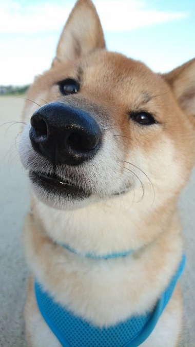 チュウする1秒前