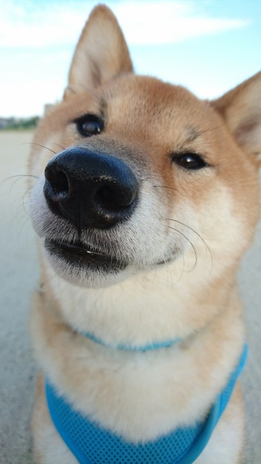 チュウする1秒前