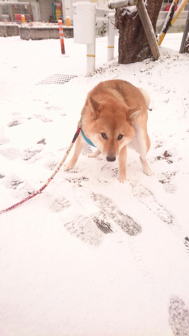 雪遊び