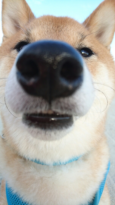 チュウする1秒前