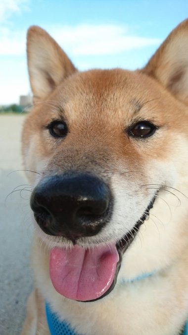 チュウする1秒前