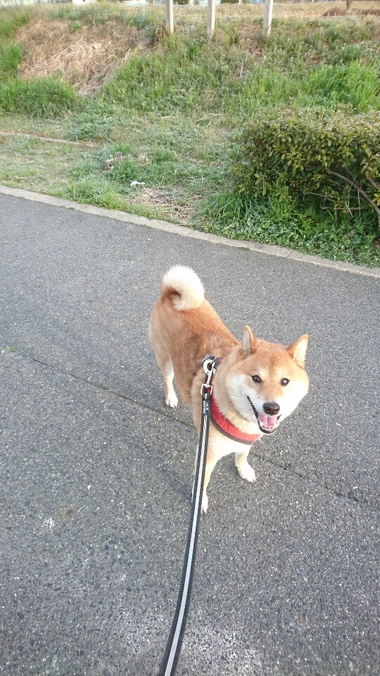 お花見！春だなぁ～