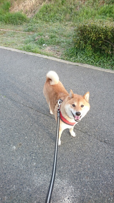 お花見！春だなぁ～