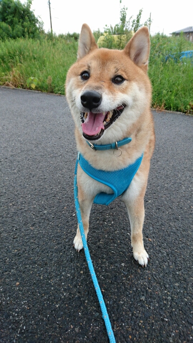 ラッキー♪　と思ったけど・・・