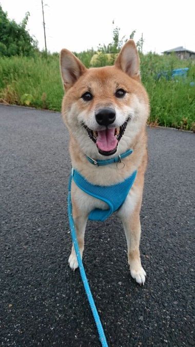 ラッキー♪　と思ったけど・・・