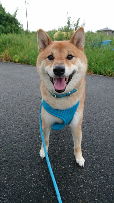ラッキー♪　と思ったけど・・・