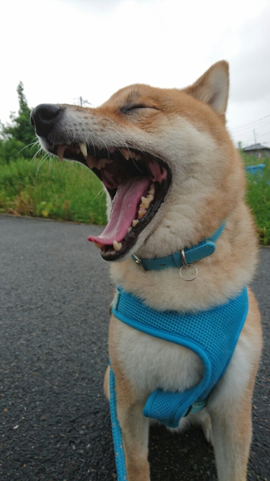 ラッキー♪　と思ったけど・・・