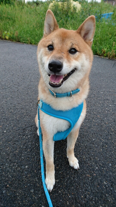 ラッキー♪　と思ったけど・・・