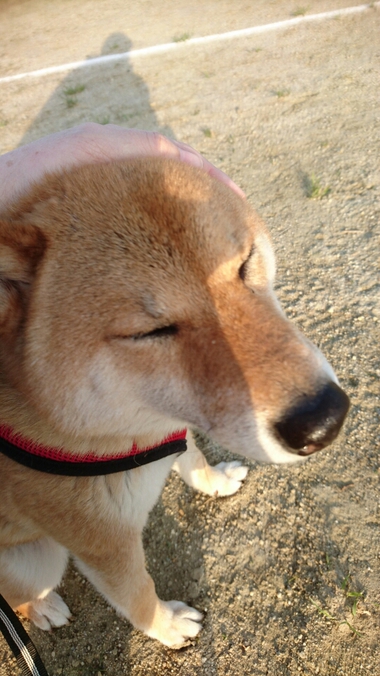 フラれた話＆どっちがモテるか