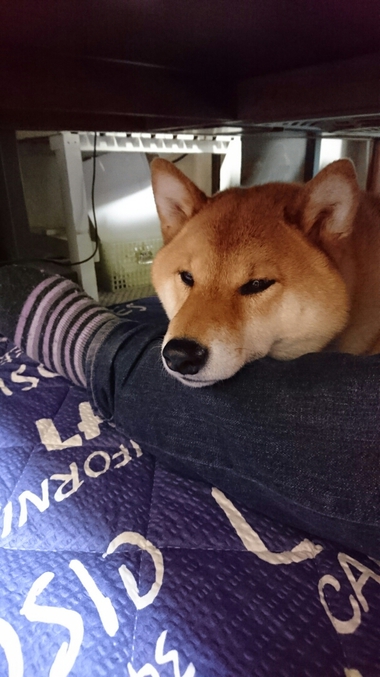 孝太だけ！