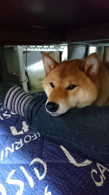 孝太だけ！