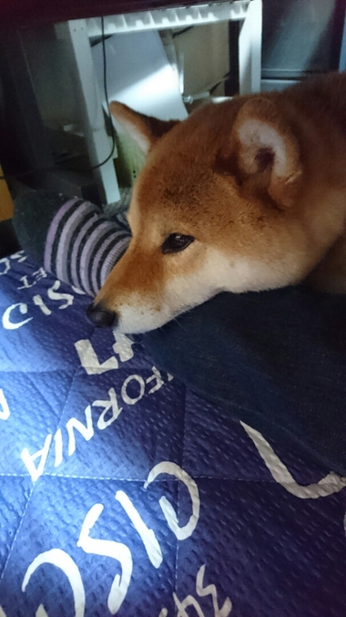 孝太だけ！