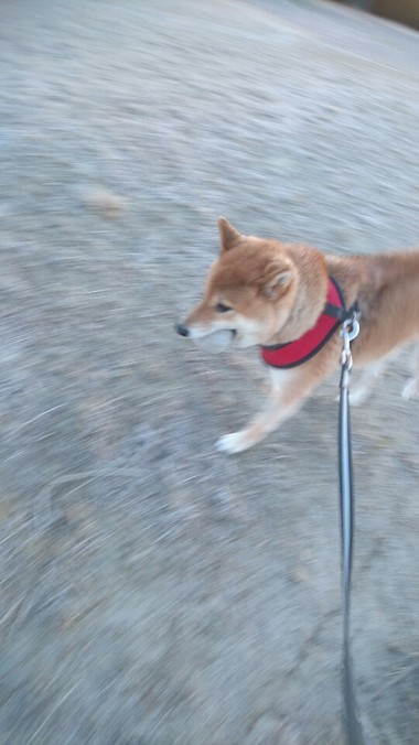 オレったら元気ないの
