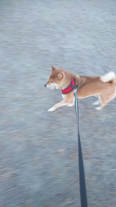 オレったら元気ないの