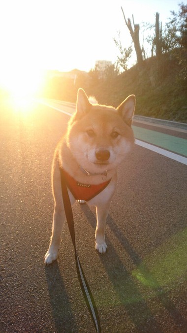 オレったら元気ないの