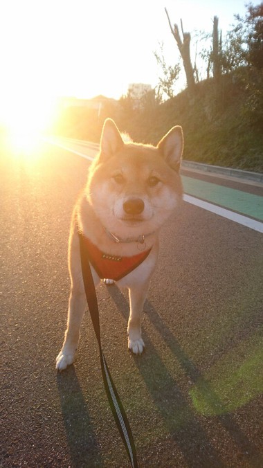 オレったら元気ないの