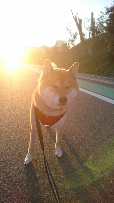 オレったら元気ないの