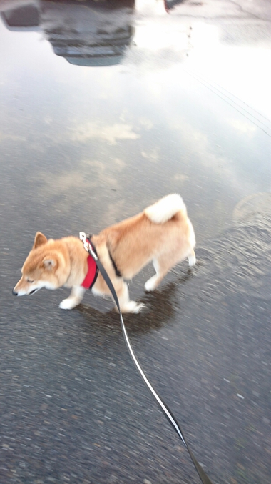 雨上がり