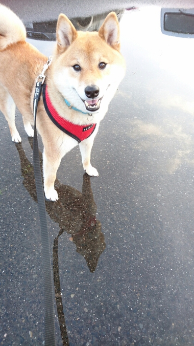 雨上がり