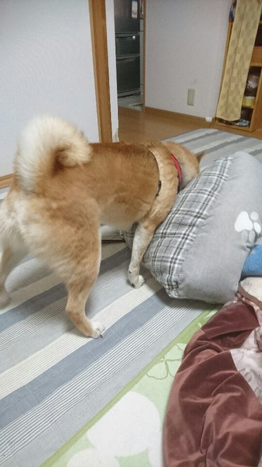 完全復活！