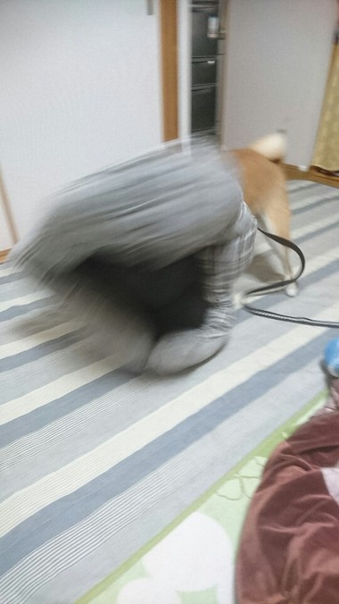 完全復活！
