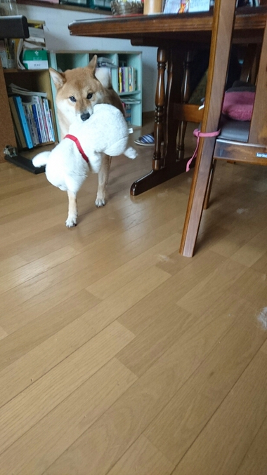やせ細っていく・・・