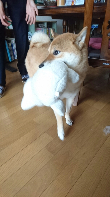やせ細っていく・・・