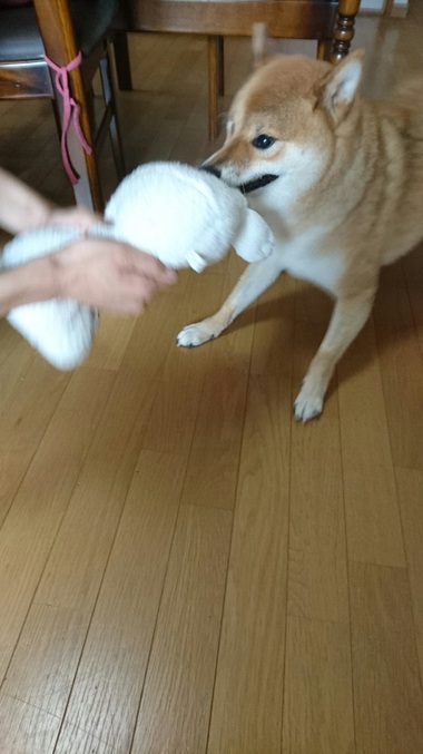 やせ細っていく・・・