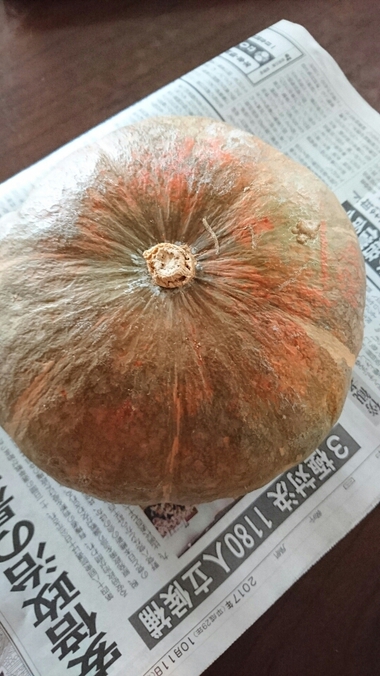 かぼちゃ