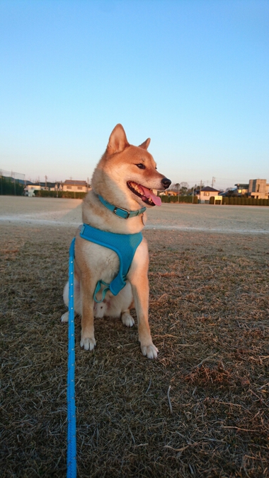 小学校ご卒業の皆さんおめでとうございます！