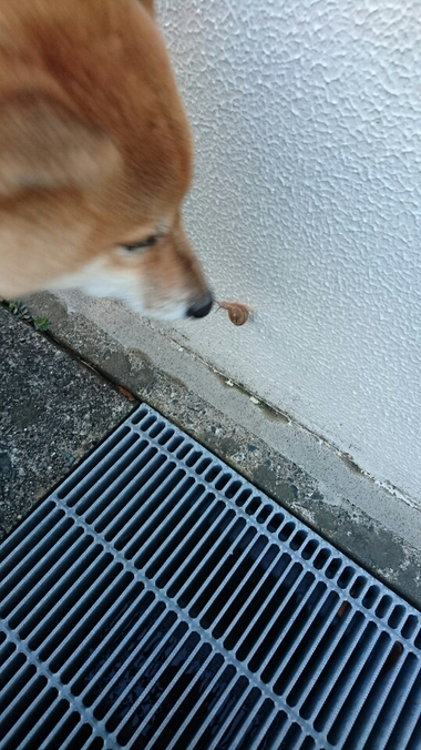 可愛すぎてホッコリ♪