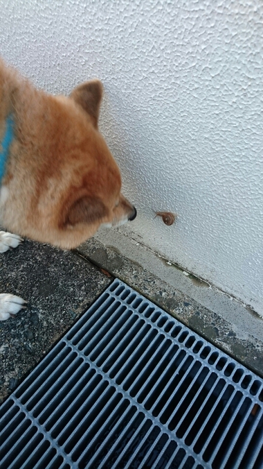 可愛すぎてホッコリ♪