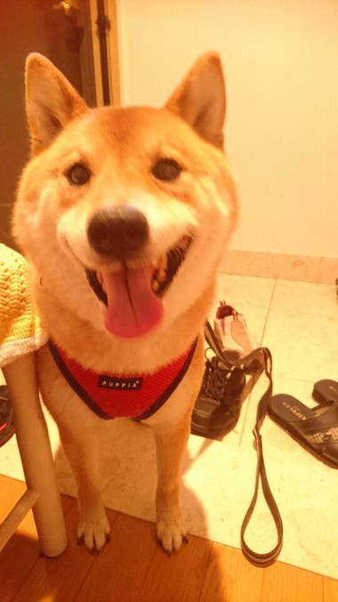 靴履いて待ってます！