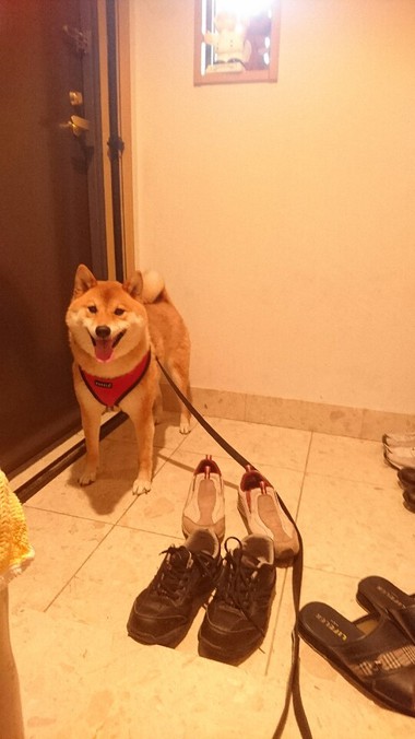靴履いて待ってます！