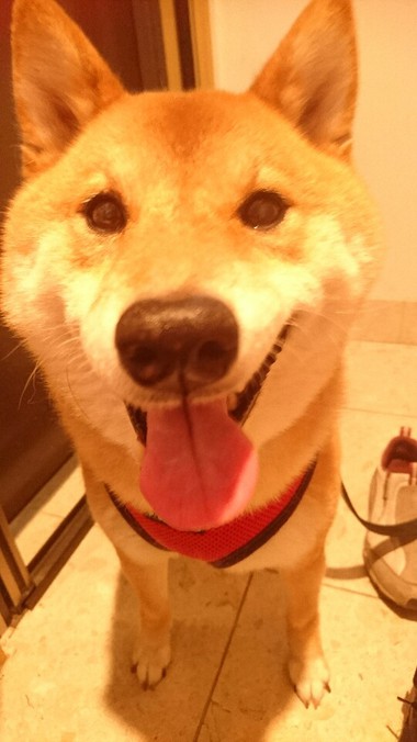 靴履いて待ってます！