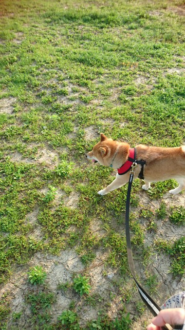 仲良く二人で可愛い子ちゃんを見つめる・・・・の巻