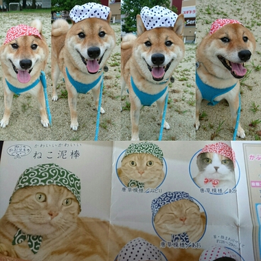 モーニング♪　＆　大都会で買ったもの