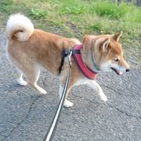 なんて顔！ 2021/04/11 08:56:11