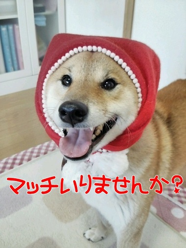 メリークリスマス！！