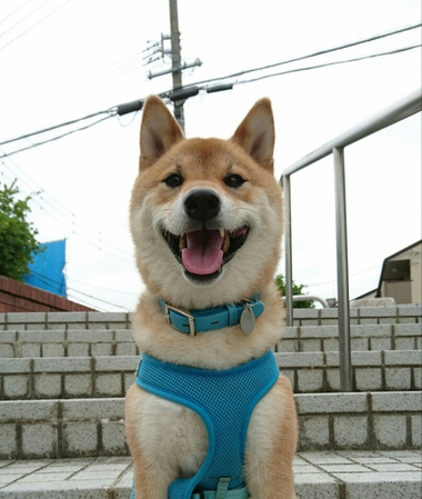 ちょっと変では？