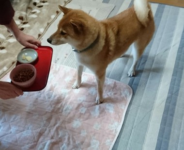 ごはんがおいしすぎる顔